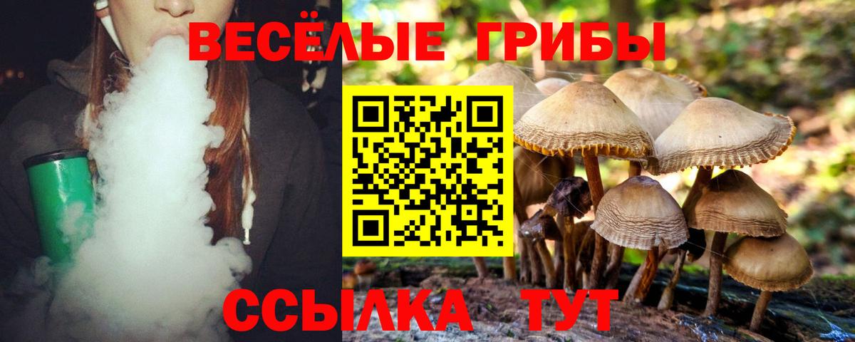Псилоцибиновые грибы Cubensis Кольчугино