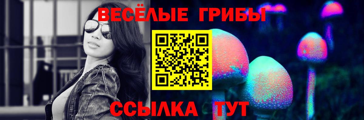 Кольчугино  Галлюциногенные грибы Psilocybine cubensis  Вход с VPN  Псилоцибиновые грибы ЛСД 